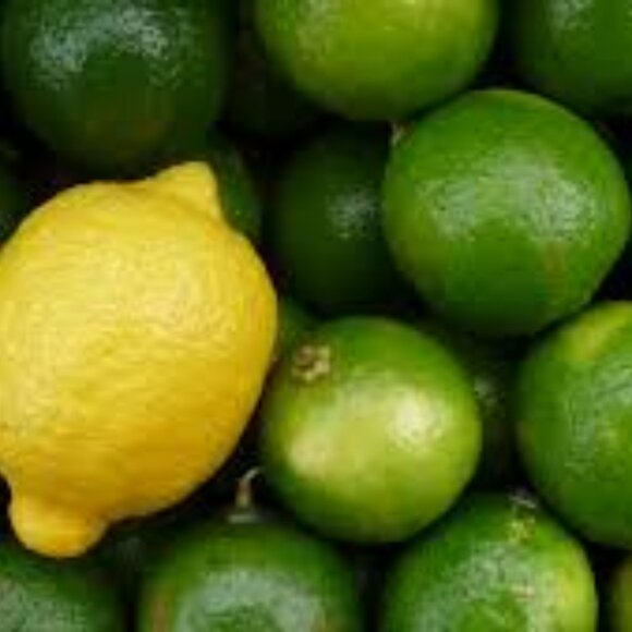 what is this - Picture 2 of 2